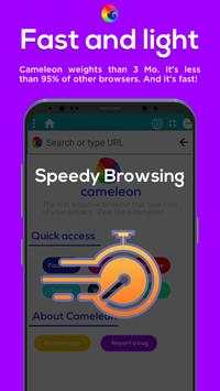 Cameleon screenshot 5