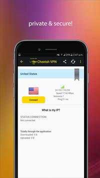 Cheetah VPN screenshot 4