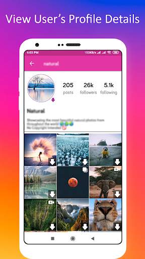Profile Picture Downloader for Instagram screenshot 18