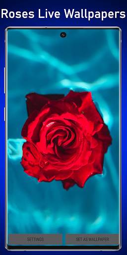 Roses Water Live Wallpaper screenshot 1