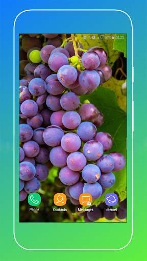 Grapes Wallpapers HD screenshot 6