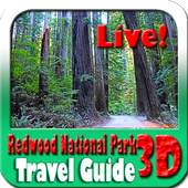 Redwood National Park Travel Guide 1.0