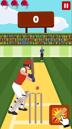 Pro Cricket Champion screenshot 3