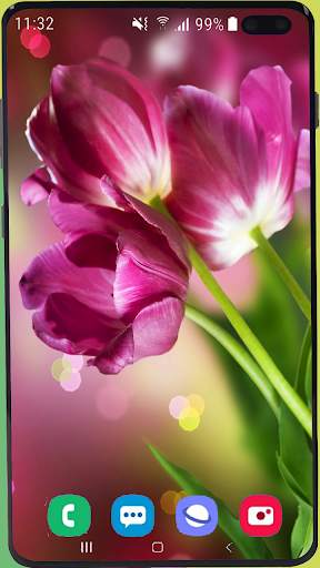 Flowers Wallpaper Best HD screenshot 8