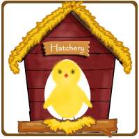 Egg Hatcher- Funny  game