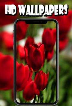 Flower Wallpapers HD स्क्रीनशॉट 1