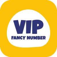 VIP Fancy Number