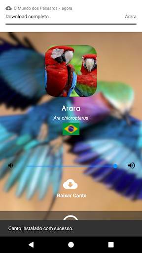 The World of Birds screenshot 3