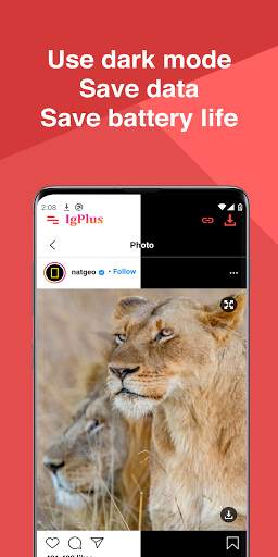 Ig Plus - Browser & Video Downloader for Instagram screenshot 4