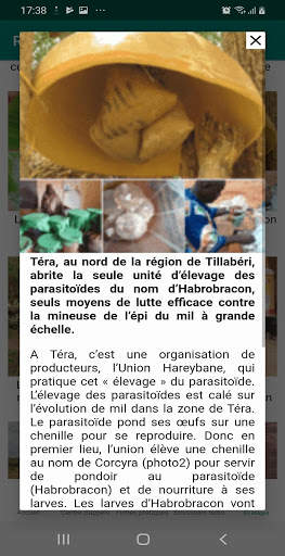 RECA screenshot 7