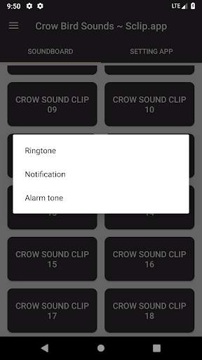 Crow Bird Sounds Collections ~ Sclip.app screenshot 3