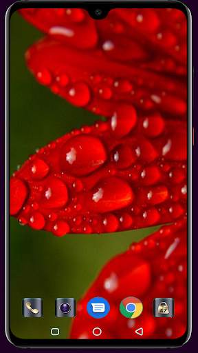 Water Drops Wallpaper screenshot 9