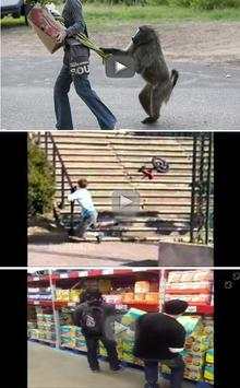 LoL Videos ! ifunny 2015 screenshot 5