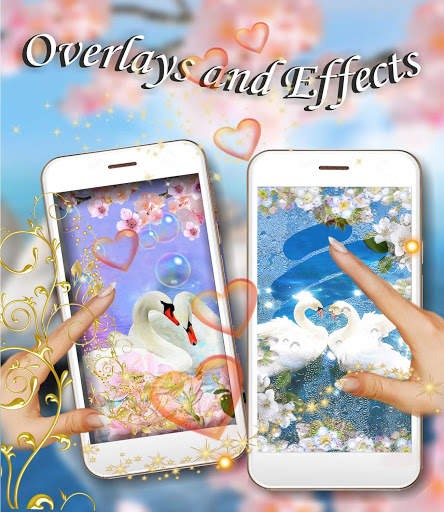 Swans Spring Love live wallpaper screenshot 2