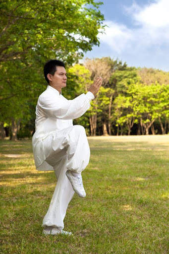 Learn Kung Fu Training 2020 2 تصوير الشاشة