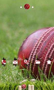 Cricket Ball screenshot 1