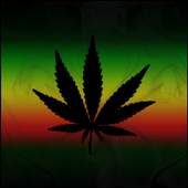 Rasta Live Wallpaper 1.0