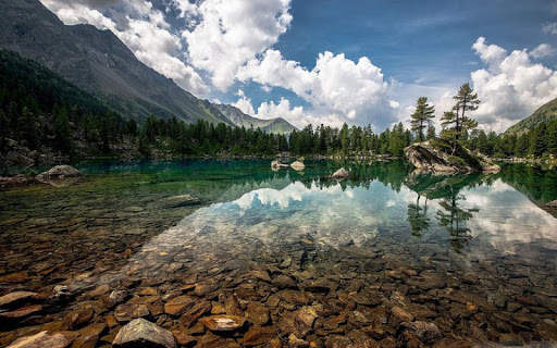 10000  Nature Wallpapers HD (Offline) screenshot 15