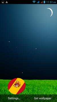2014 Football Live Wallpaper screenshot 8