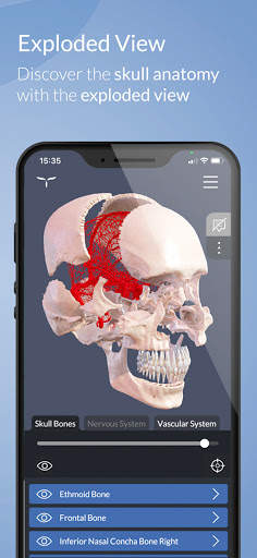 Head Atlas screenshot 4