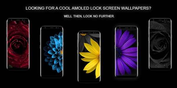 Flowers AMOLED Wallpaper for lock screen screenshot 1