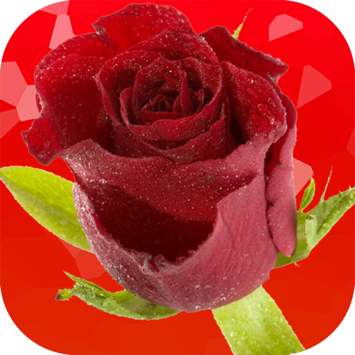 Rose Flowers Wallpaper icon