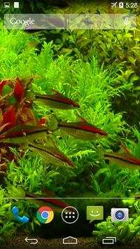 Real Aquarium Wallpaper screenshot 1