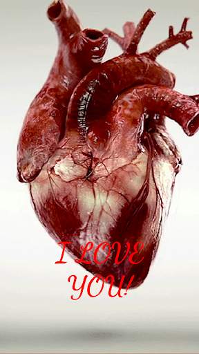 I Love You Free Edition screenshot 5