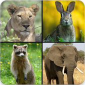 Animal Sounds icon