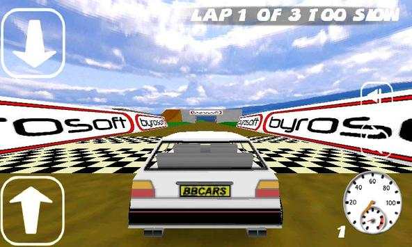 BB Rally Lite screenshot 2
