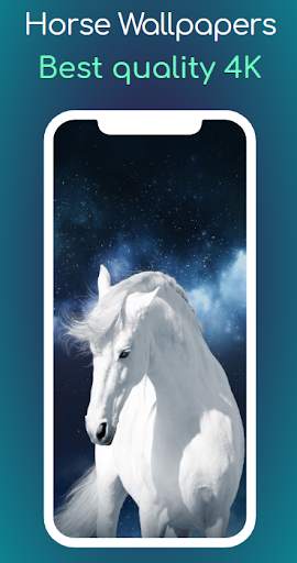 Horse Wallpaper 4K screenshot 4