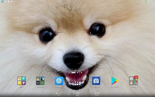 Spitz live wallpaper screenshot 3