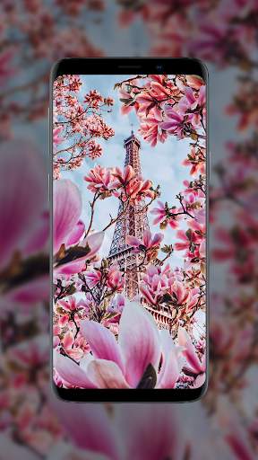 Flower Wallpapers in HD, 4K screenshot 8