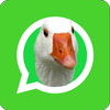 Stickers de Memes para WhatsApp ? WAStickerApps icon