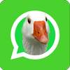 Stickers de Memes para WhatsApp ? WAStickerApps 3.3