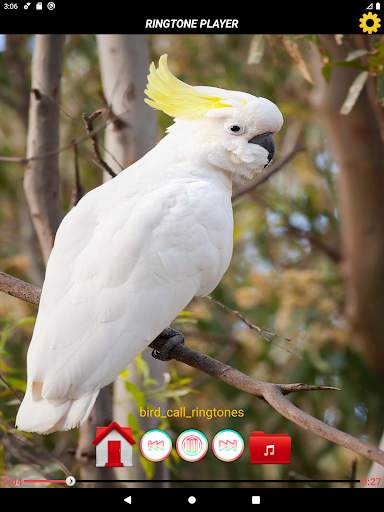 70 Bird Sounds and Ringtones screenshot 5