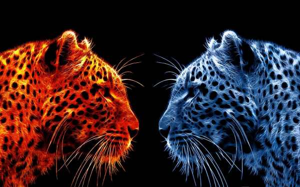 Fire And Ice Live Wallpaper (Backgrounds & Themes) screenshot 12