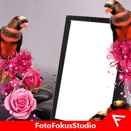 Dusky Lory Insta DP 3.0