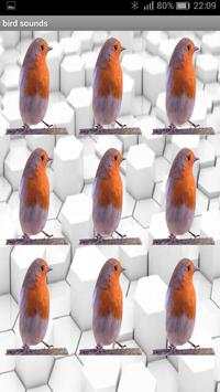 Bird sound screenshot 6