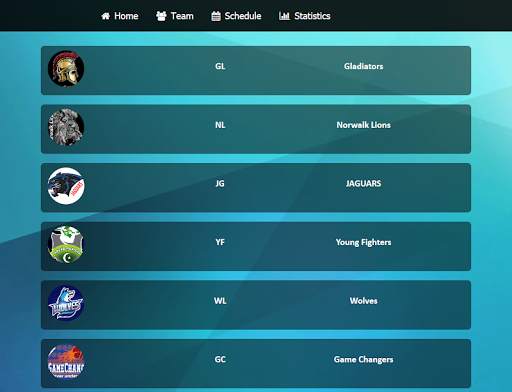 S Cricket Hub screenshot 7