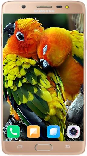 Bird Wallpaper Best HD स्क्रीनशॉट 5