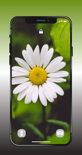 ✿ HD Flowers Wallpaper - 4K Beautiful Flowers screenshot 15
