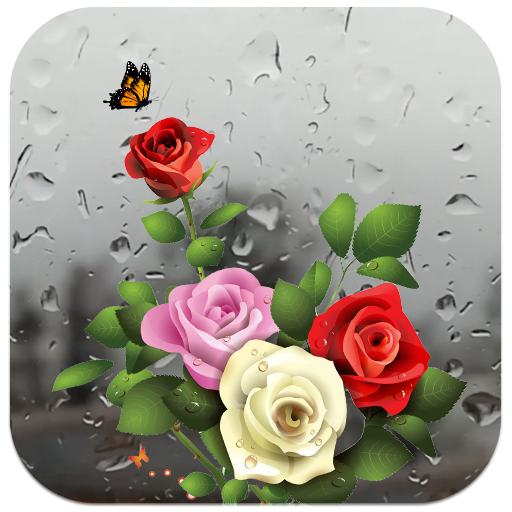 ikon Rose Live Wallpaper with Waterdrops