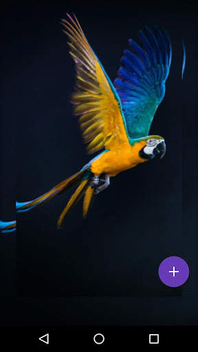 Flying Birds Live Wallpaper screenshot 1