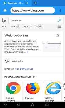 private browser screenshot 1