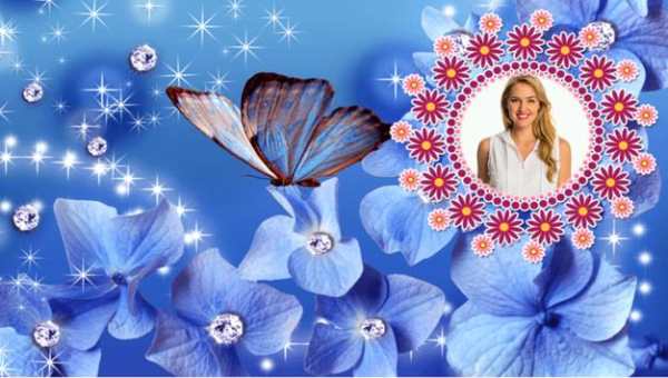 Butterfly Frames screenshot 7