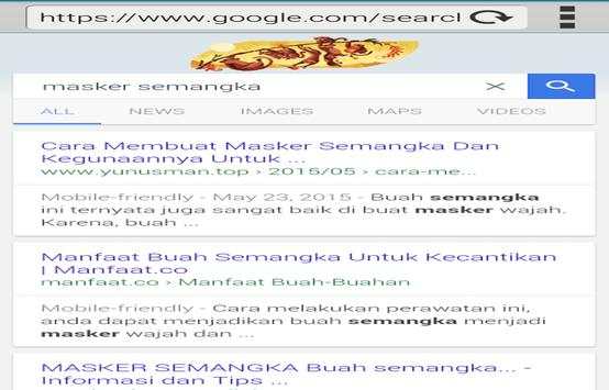 IFMBrowser screenshot 2