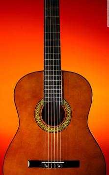 Best Pro Acoustic Guitar Tuner  - Free screenshot 1