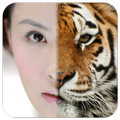 Animal Camera icon
