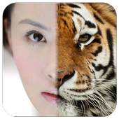 Animal Camera 1.0